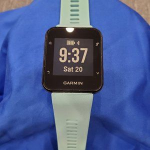 GARMIN Forerunner 35 (Frost Blue)